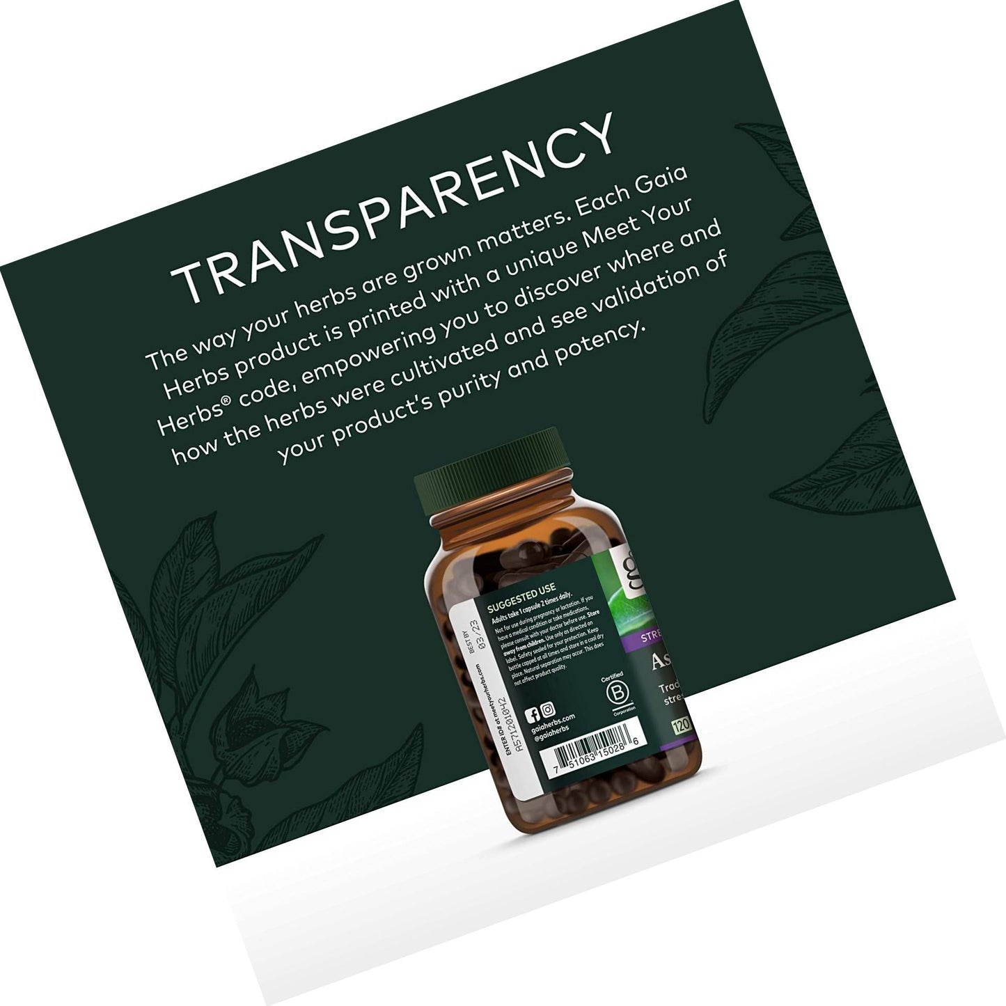 Gaia Herbs Ashwagandha Root, For Stress Relief, Immune Support, Balanced Energy Levels and Mood Support, Vegan Liquid Capsules, 120 Count