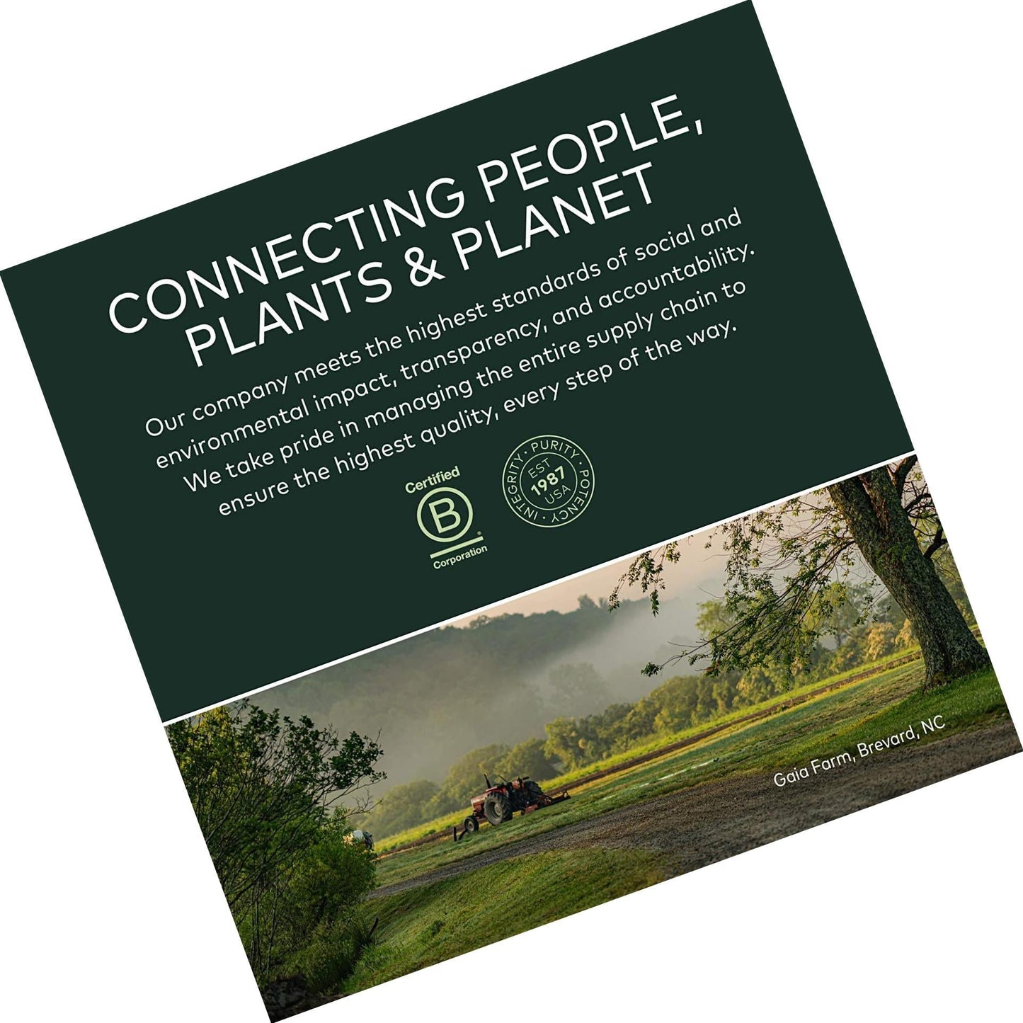 Gaia Herbs Ashwagandha Root, For Stress Relief, Immune Support, Balanced Energy Levels and Mood Support, Vegan Liquid Capsules, 120 Count