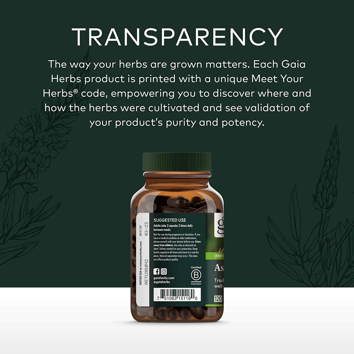 Gaia Herbs Astragalus supreme, 120 Count