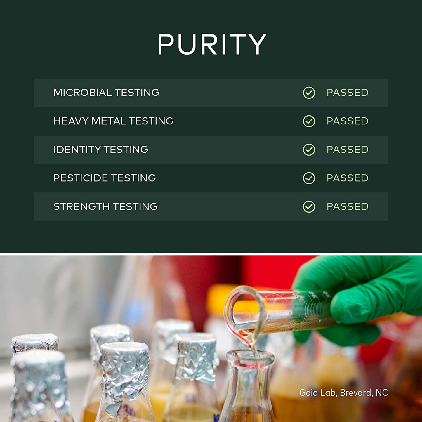 Gaia Herbs, Black Elderberry NightTime Syrup, Immune Support for Restful Sleep, Organic Sambucus Elderberry Supplement, 5.4 Ounce