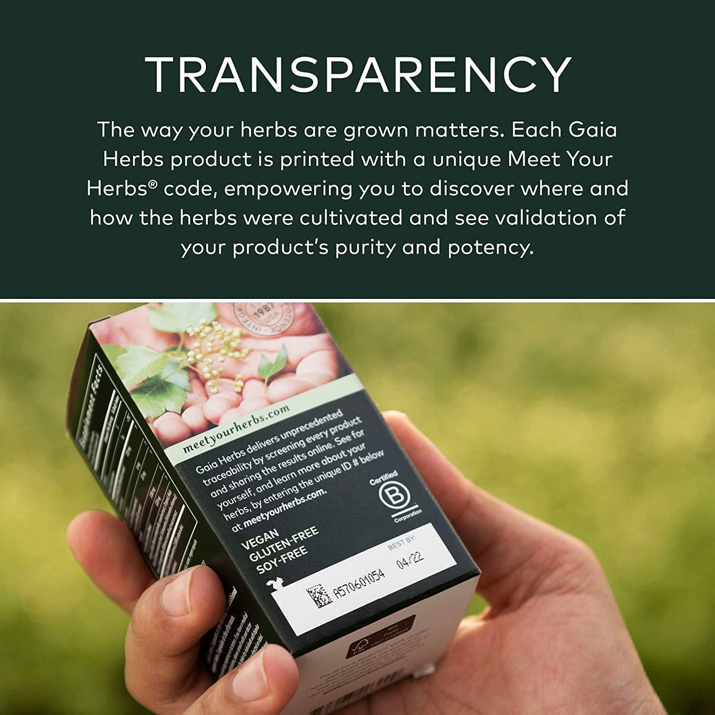 Gaia Herbs, Black Elderberry NightTime Syrup, Immune Support for Restful Sleep, Organic Sambucus Elderberry Supplement, 3 Ounce