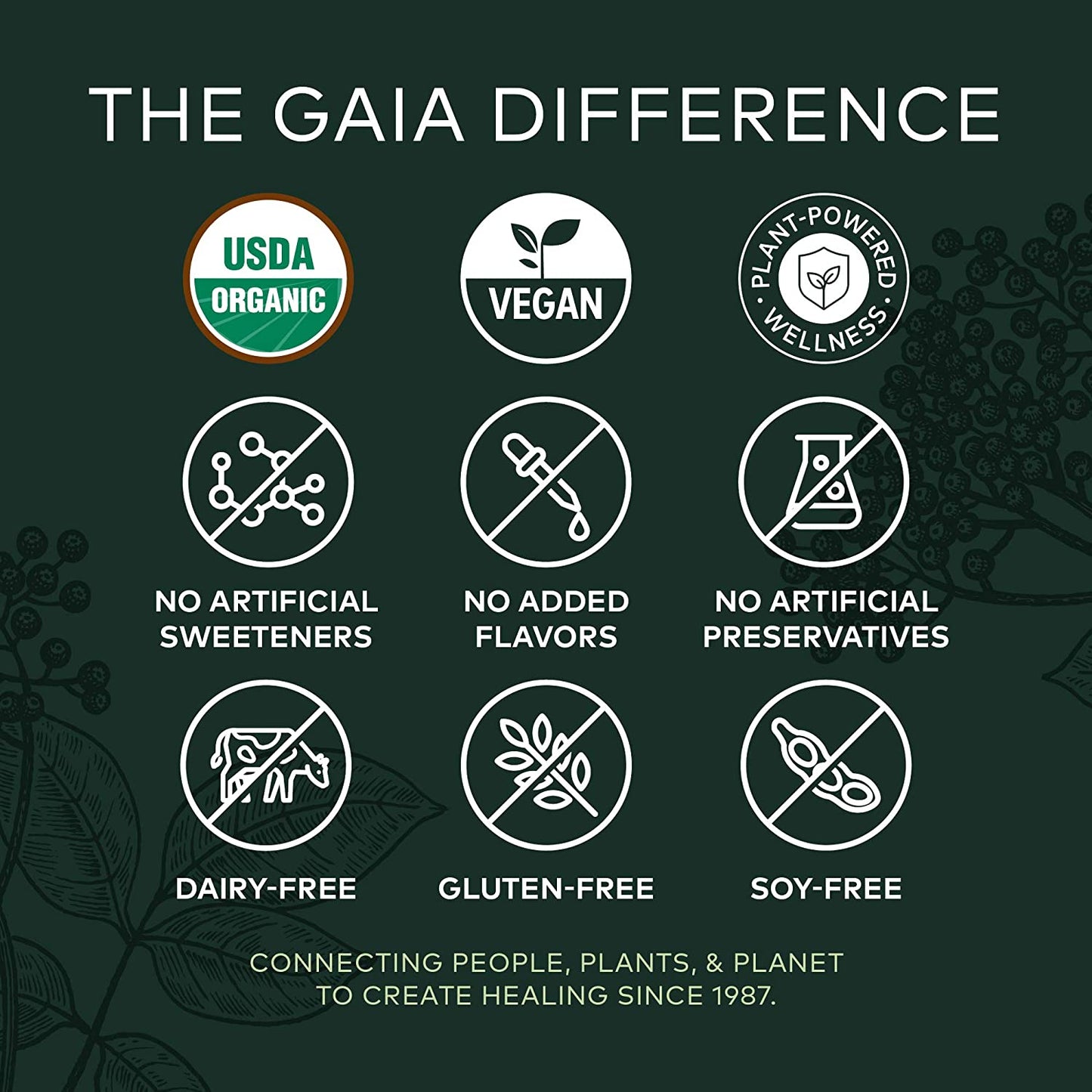 Gaia Herbs, Black Elderberry Syrup, Daily Immune Support with Antioxidants, Organic Sambucus Elderberry Supplement, 5.4 Fl Oz (Pack of 1)