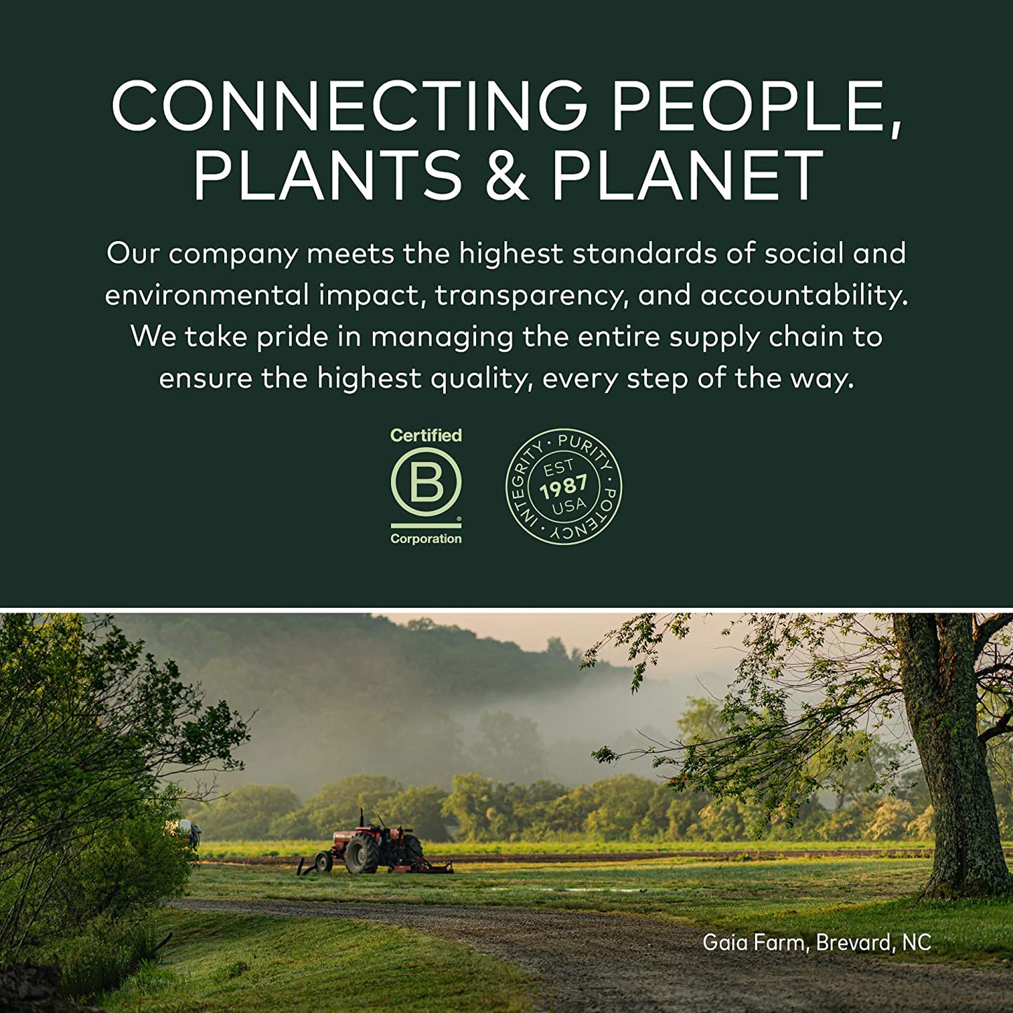 Gaia Herbs, Black Elderberry NightTime Syrup, Immune Support for Restful Sleep, Organic Sambucus Elderberry Supplement, 3 Ounce