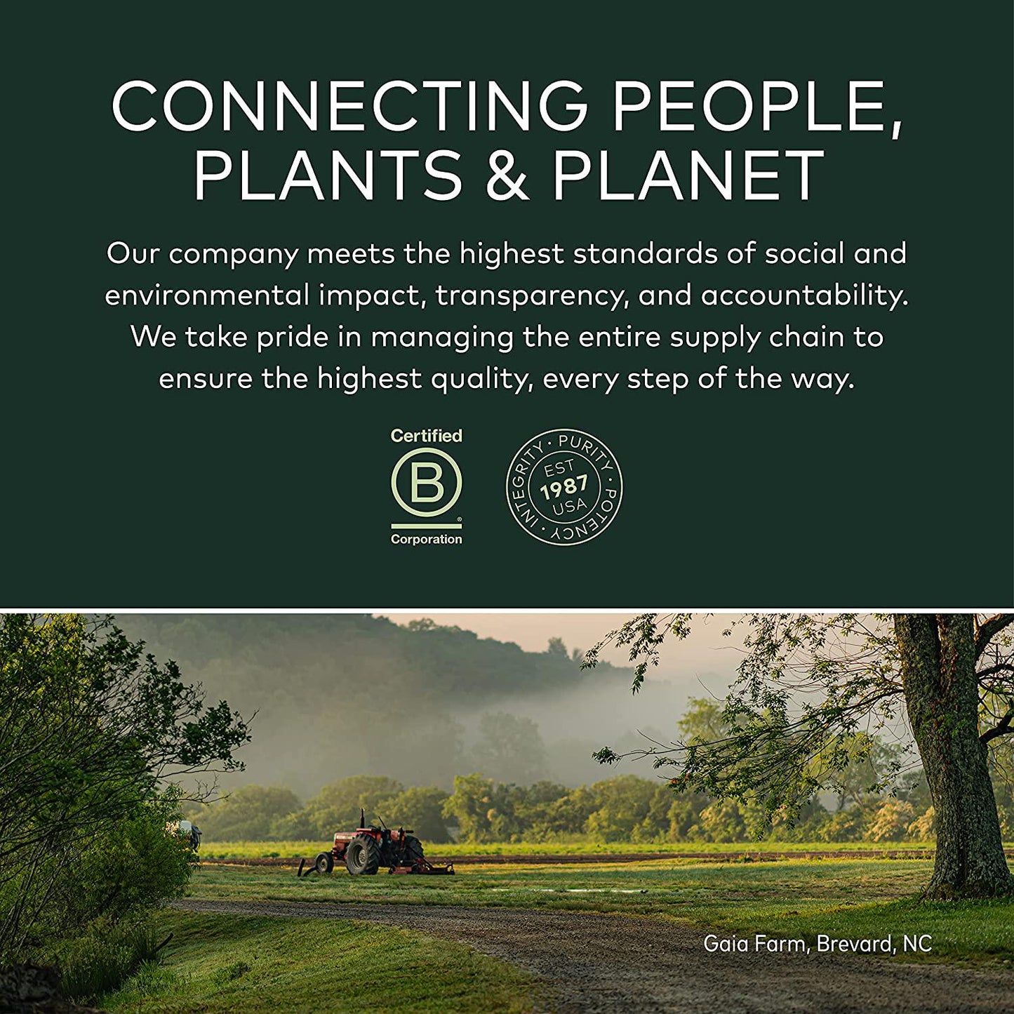 Gaia Herbs Fenugreek Seed, Vegan Liquid Capsules, 60 Count - Lactation Supplement with Organic Fenugreek to Optimize Breast Milk Production