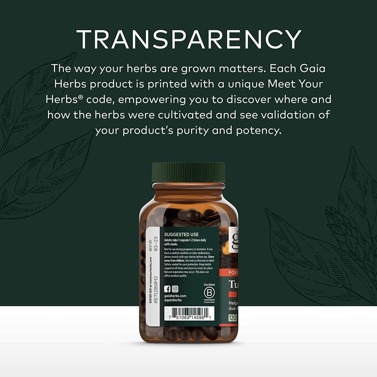 Gaia Herbs Gaia Herbs Turmeric Supreme: Extra Strength 120 ct