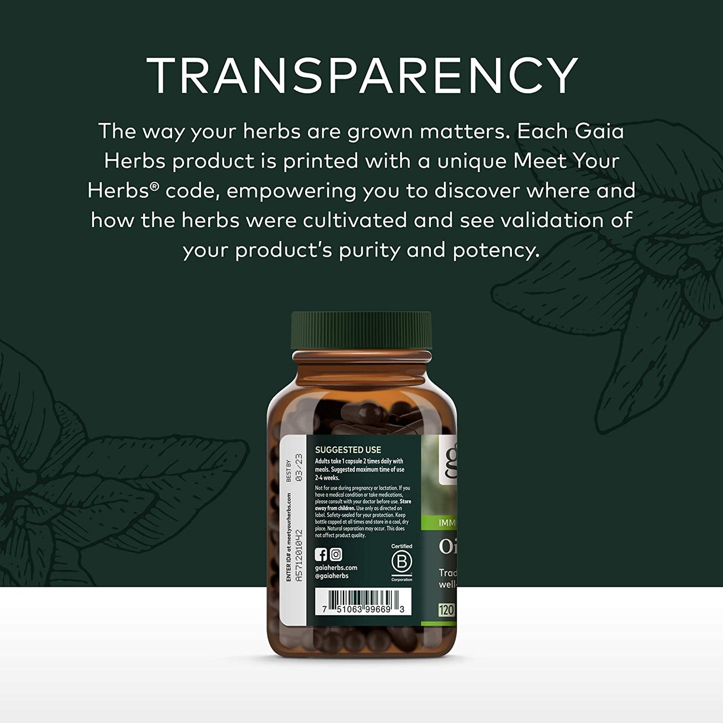 Gaia Herbs Oil of Oregano - Immune and Antioxidant Support Supplement to Help Sustain Overall Well-Being - with Oregano Oil, Carvacrol, and Thymol - 120 Vegan Liquid Phyto-Capsules (60-Day Supply)