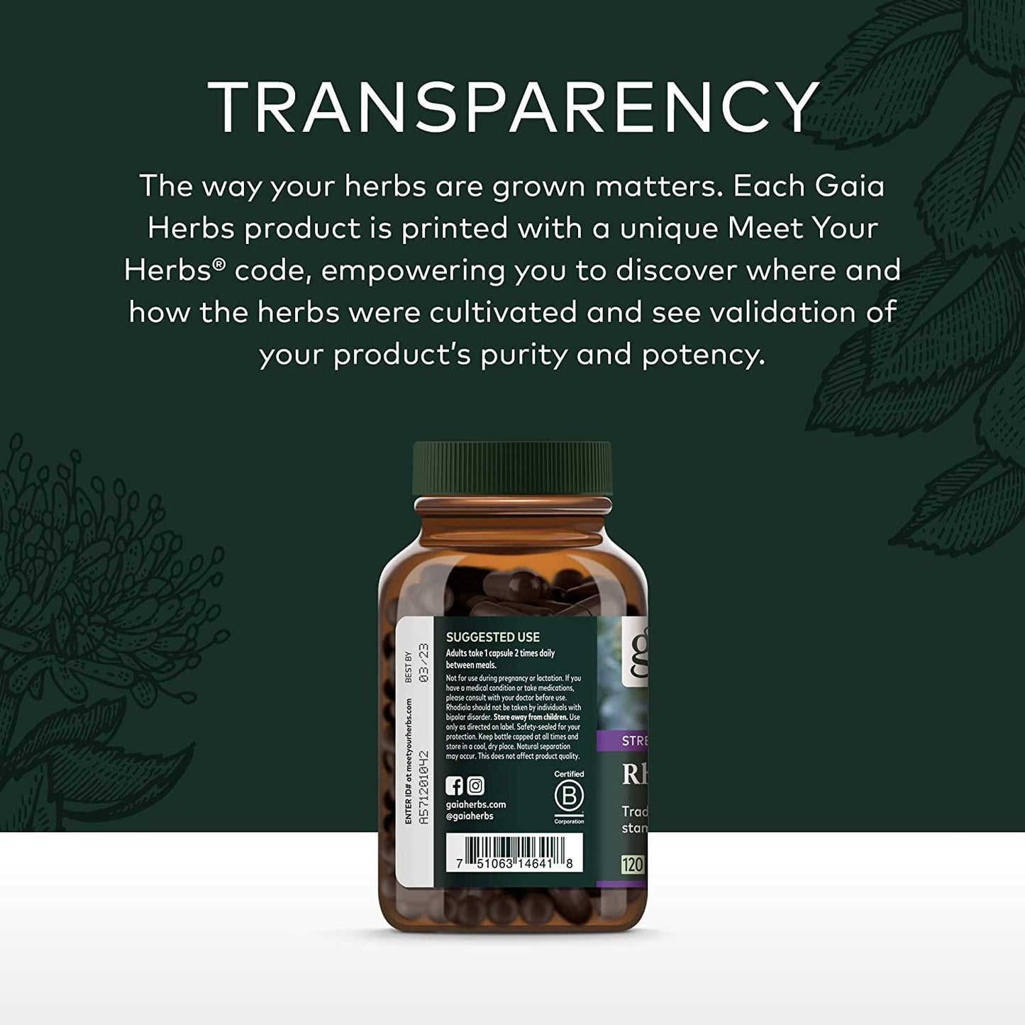 Gaia Herbs Rhodiola Rosea - Stress Support Supplement Traditionally for Supporting Healthy Stamina and Endurance - With Siberian Rhodiola Root Extract - 120 Vegan Liquid Phyto-Capsules (60-Day Supply)