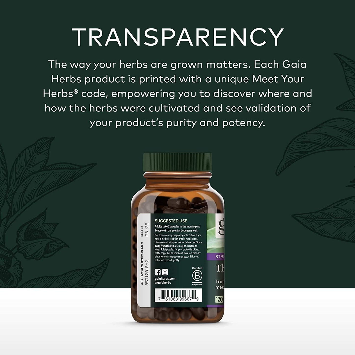 Gaia Herbs, Thyroid Support, Ashwaganda, Bladderwrack, Coleus, Kelp, Schisandra, Vegan Liquid Phyto Capsules, 120 Count