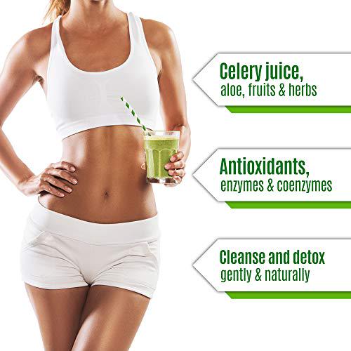 Garden Greens Celery Power Whole Food Juice Cleanse, with Aloe, Fruits and Herbs, Supports Healthy Digestion, Supports Cleanse and Detox, Reduce Bloat and Water Weight, 32 Fl Oz