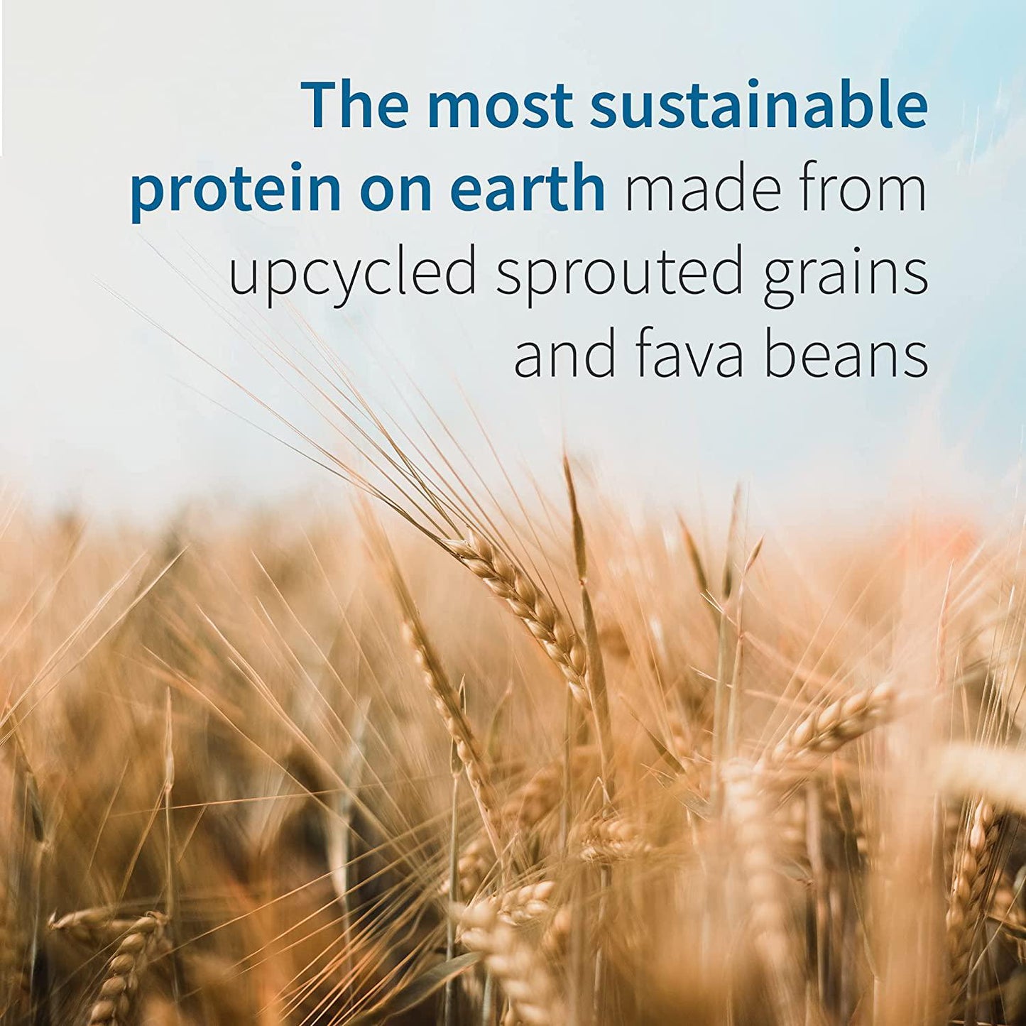 Garden of Life Chocolate Plant Based Fit Protein with Fava Bean, Sprouted Grains Plus Immune Support, Probiotics and Svetol to Help Burn Fat – Dr Formulated MD – Non GMO, Carbon Neutral, 10 Servings