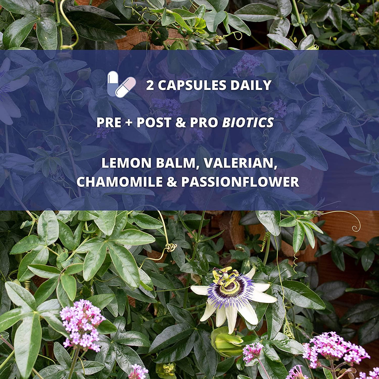 Garden of Life Dr. Formulated Probiotics Platinum Series Restore Sleep with Herbs 200 Billion CFU Guaranteed Plus Valerian Chamomile and More for Digestion, Immune Support, Restful Sleep, 28 Capsules