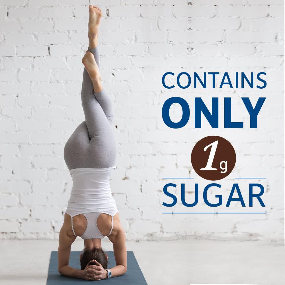 Garden of Life High Protein Bars for Weight Loss - Organic Fit Bar, Chocolate Fudge (12 per carton) - Burn Fat, Satisfy Hunger and Fight Cravings, Low Sugar Plant Protein Bar with Fiber