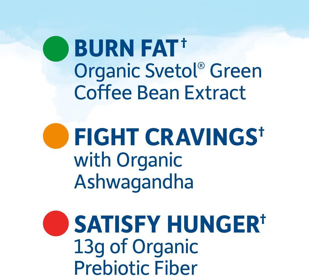 Garden of Life High Protein Bars for Weight Loss - Organic Fit Bar, Chocolate Fudge (12 per carton) - Burn Fat, Satisfy Hunger and Fight Cravings, Low Sugar Plant Protein Bar with Fiber