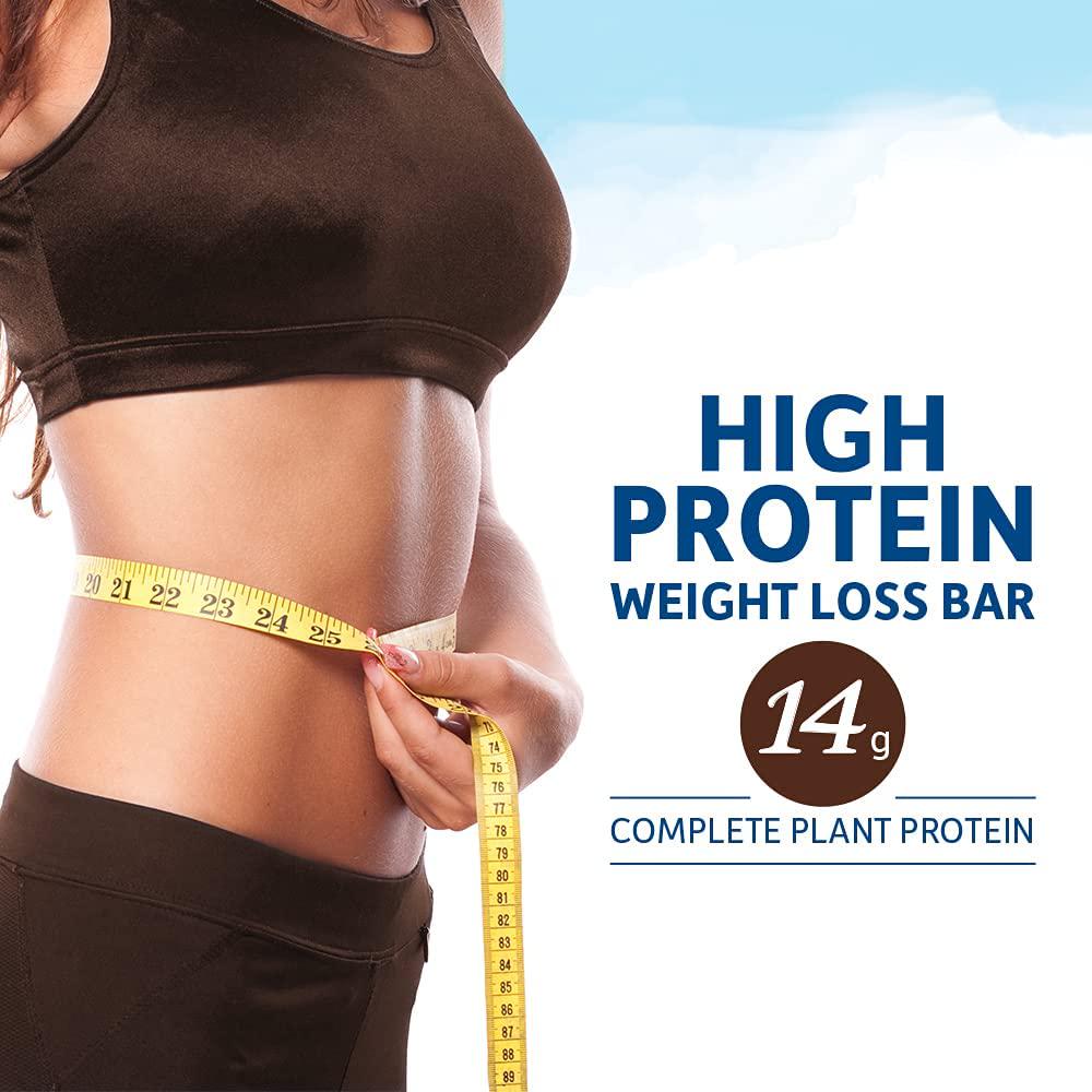 Garden of Life High Protein Bars for Weight Loss - Organic Fit Bar, Chocolate Fudge (12 per carton) - Burn Fat, Satisfy Hunger and Fight Cravings, Low Sugar Plant Protein Bar with Fiber
