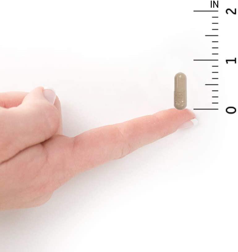 Garden of Life Multivitamin for Women 50 and Over, Vitamin Code Women 50 and Wiser Multi - 240 Capsules with Vitamins A, B, C, D3, E and K, CoQ10, Probiotics and Enzymes