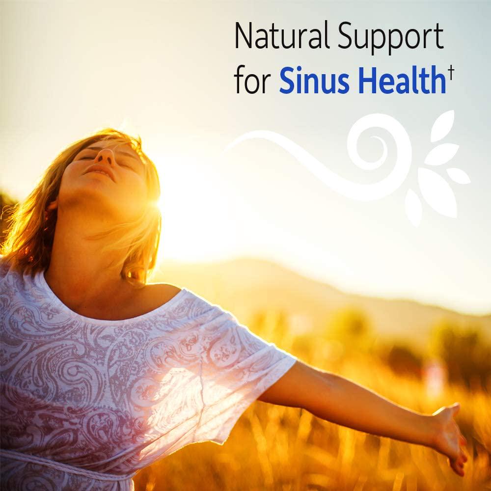 Garden of Life Natural Sinus Support - Herbal Immune Balance Sinus with Enzyme Blend, Vegetarian, 60 Capsule
