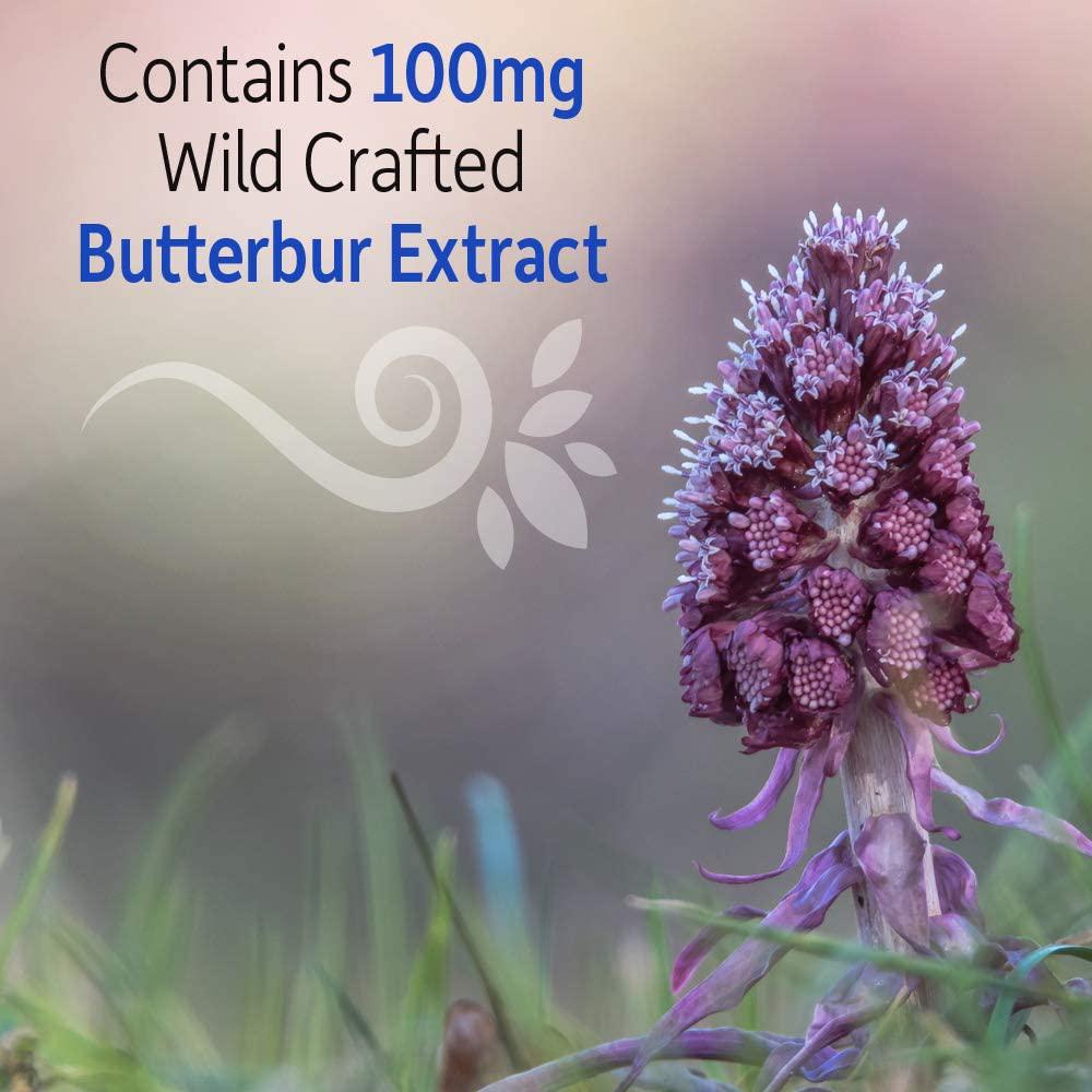 Garden of Life Natural Sinus Support - Herbal Immune Balance Sinus with Enzyme Blend, Vegetarian, 60 Capsule