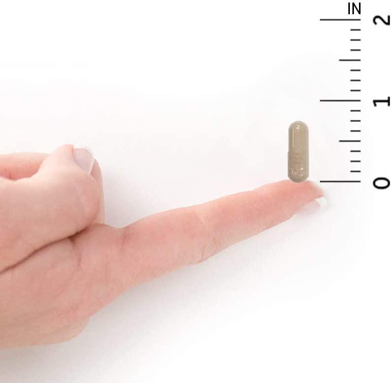 Garden of Life Natural Sinus Support - Herbal Immune Balance Sinus with Enzyme Blend, Vegetarian, 60 Capsule