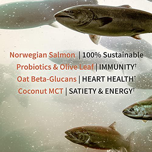 Garden of Life Norwegian Salmon and Vanilla Plant Based Protein with Pea and Fava Plus Immune Support with Probiotics for Digestion and Immunity Dr Formulated MD Non GMO, Carbon Neutral, 14 Servings