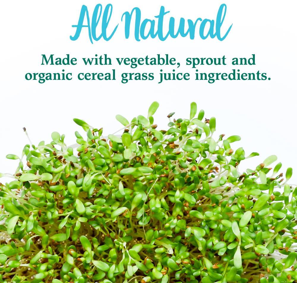 Garden of Life - Perfect Food Super Green Formula - 150 Vegetarian Caplet(s)