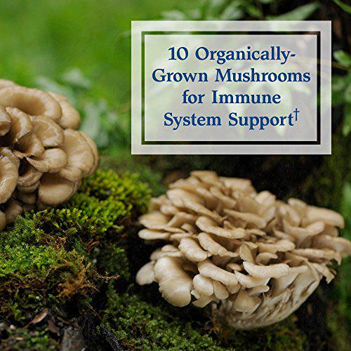 Garden of Life RM-10 Ultra Ultimate Broad Spectrum Immune Support System for Cell Function, DNA Methylation Complex and Organic Mushroom Blend, 90 Count