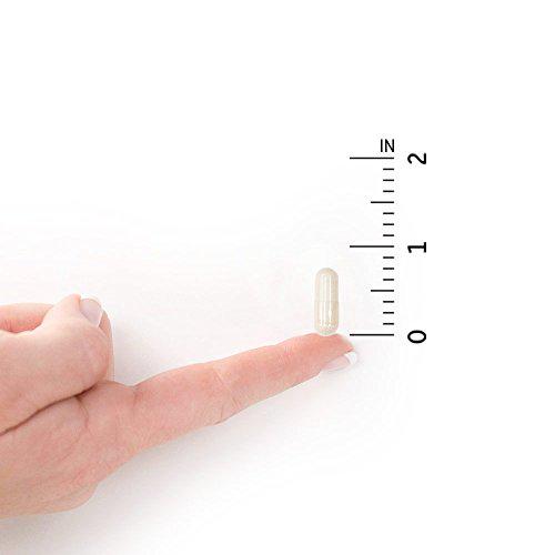 Garden of Life RM-10 Ultra Ultimate Broad Spectrum Immune Support System for Cell Function, DNA Methylation Complex and Organic Mushroom Blend, 90 Count