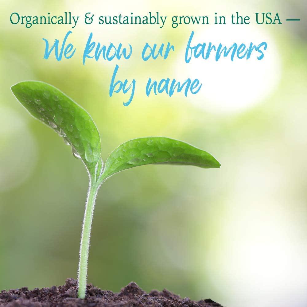 Garden of Life Raw 100% Organic Perfect Food USA Wheat Grass Juice - Green Superfood Powder, 60 Servings - Stevia and Gluten Free, Non-GMO, Vegan, Whole Food Dietary Supplement, 8.46 Oz