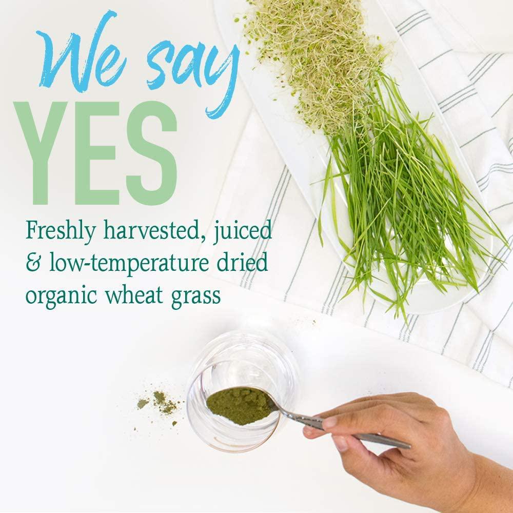 Garden of Life Raw 100% Organic Perfect Food USA Wheat Grass Juice - Green Superfood Powder, 60 Servings - Stevia and Gluten Free, Non-GMO, Vegan, Whole Food Dietary Supplement, 8.46 Oz