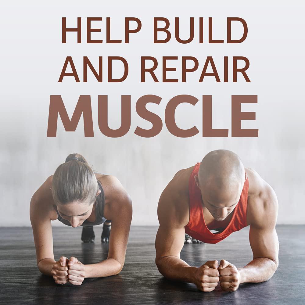 Garden of Life Raw Organic Protein Chocolate Powder, 20 Servings *Packaging May Vary* Certified Vegan, Gluten Free, Organic, Non-GMO, Plant Based Sugar Free Protein Shake with Probiotics and Enzymes