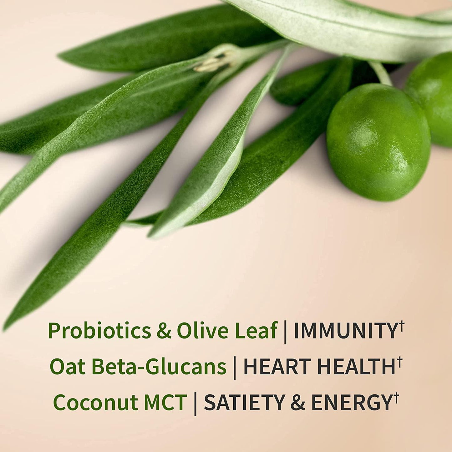 Garden of Life Vanilla Plant Based Protein Powder with Fava Bean, Sprouted Barley and Rice Plus Immune Support and Probiotics for Digestion Dr Formulated MD Non GMO, Carbon Neutral, 14 Servings