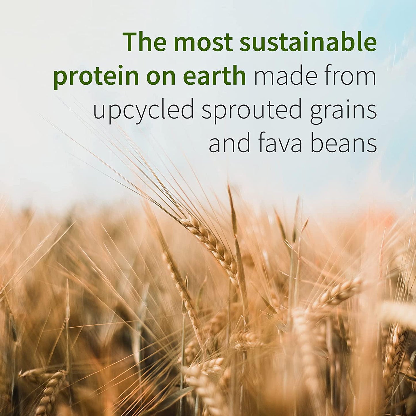 Garden of Life Vanilla Plant Based Protein Powder with Fava Bean, Sprouted Barley and Rice Plus Immune Support and Probiotics for Digestion Dr Formulated MD Non GMO, Carbon Neutral, 14 Servings