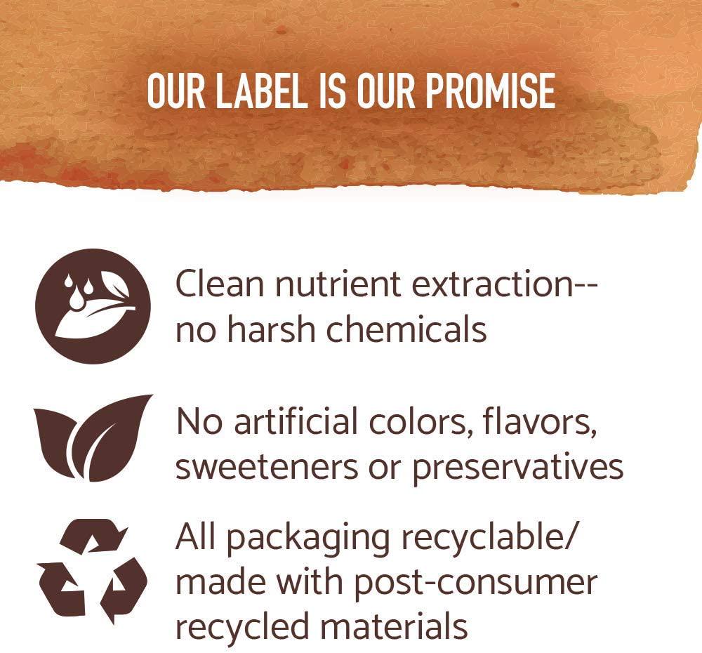 Garden of Life mykind Organics Golden Milk Recovery and Nourishment 3.7oz (105g) Powder