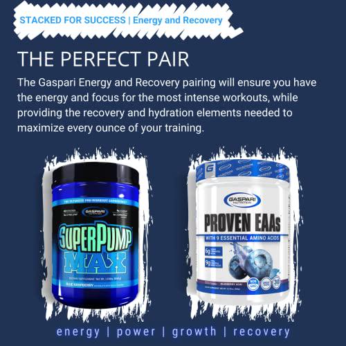 Gaspari Nutrition: Proven EAAs, Vegan Fermented EAAs, Enhances Recovery and Replenishes Electrolytes, Non-GMO, 30 Servings (Blueberry Acai)
