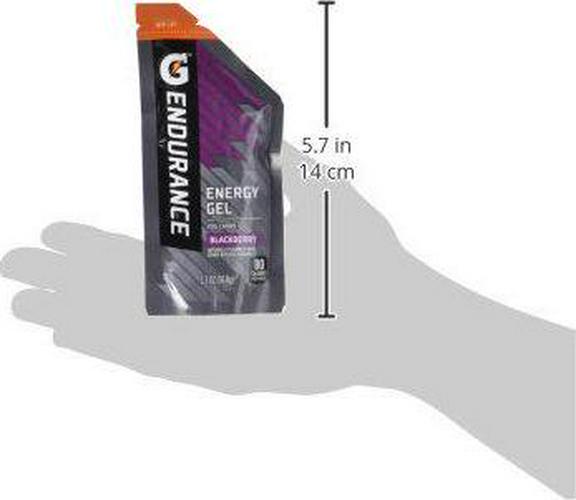 Gatorade 128542 Endurance Energy Gel, Blackberry, 21 Pack, 1.3 oz Pouches