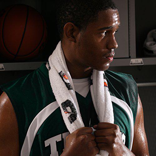 Gatorade Whey Protein Recover Bars, Chocolate Chip, 6 Count