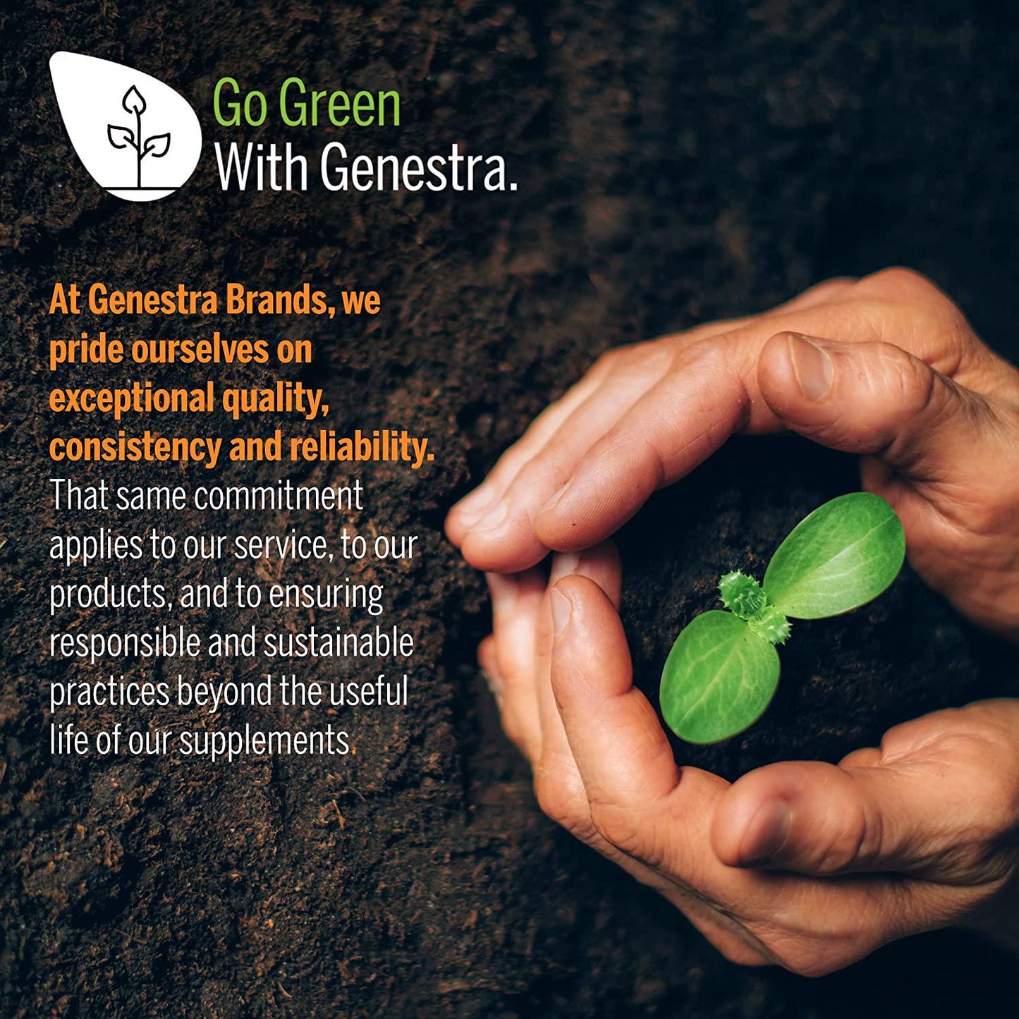 Genestra Brands Amino L-Tyrosine | Support for Dopamine and Norepinephrine Production | 60 Capsules