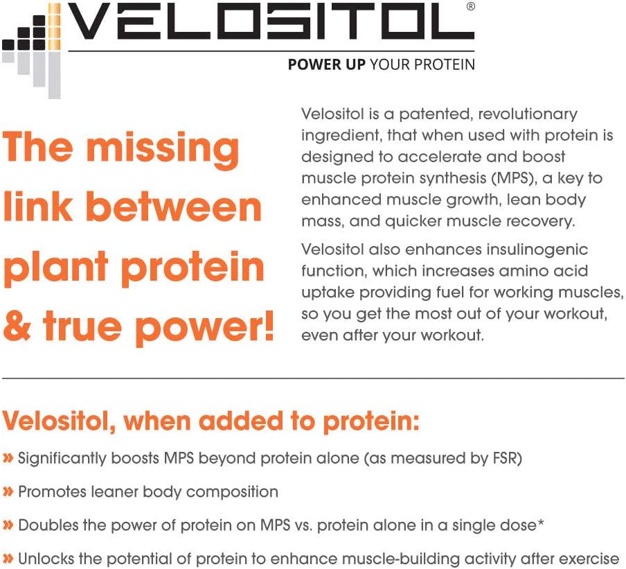 Genius Vegan Protein Powder Plant Based Lean Muscle Building Shake | Best Pea + Pumpkin Protein Sources Ideal Lean Body Shake for Men and Women All in One Nutritional Sport Drink (Dairy Free)