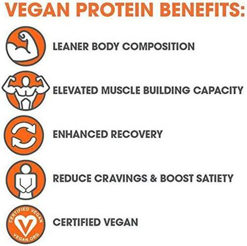 Genius Vegan Protein Powder Plant Based Lean Muscle Building Shake | Best Pea + Pumpkin Protein Sources Ideal Lean Body Shake for Men and Women All in One Nutritional Sport Drink (Dairy Free)