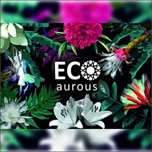 German Blue Chamomile Oil (Matricaria chamomilla) 100% Natural, Organic, Vegan and Cruelty Free Blue Chamomile Essential Oil | Pure Blue Chamomile Oil By Eco Aurous