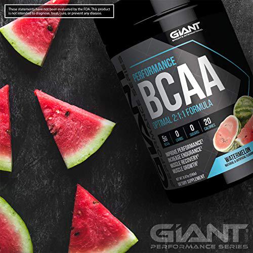 Giant Sports Performance BCAA Powder Sugar Free Recovery and Performance with Potassium Chain Amino Acids | Watermelon 30 Servings