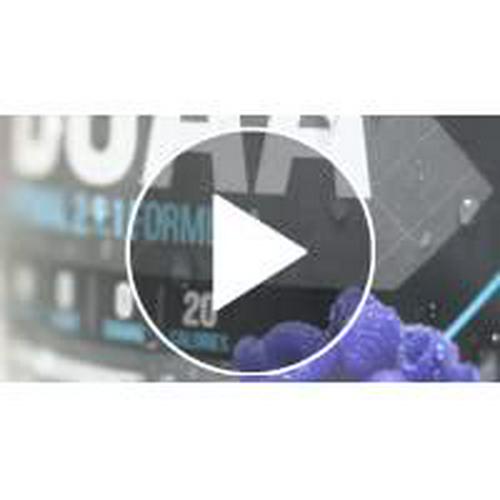 Giant Sports Performance BCAA Powder Sugar Free Recovery and Performance with Potassium Chain Amino Acids | Watermelon 30 Servings