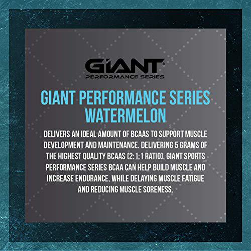 Giant Sports Performance BCAA Powder Sugar Free Recovery and Performance with Potassium Chain Amino Acids | Watermelon 30 Servings