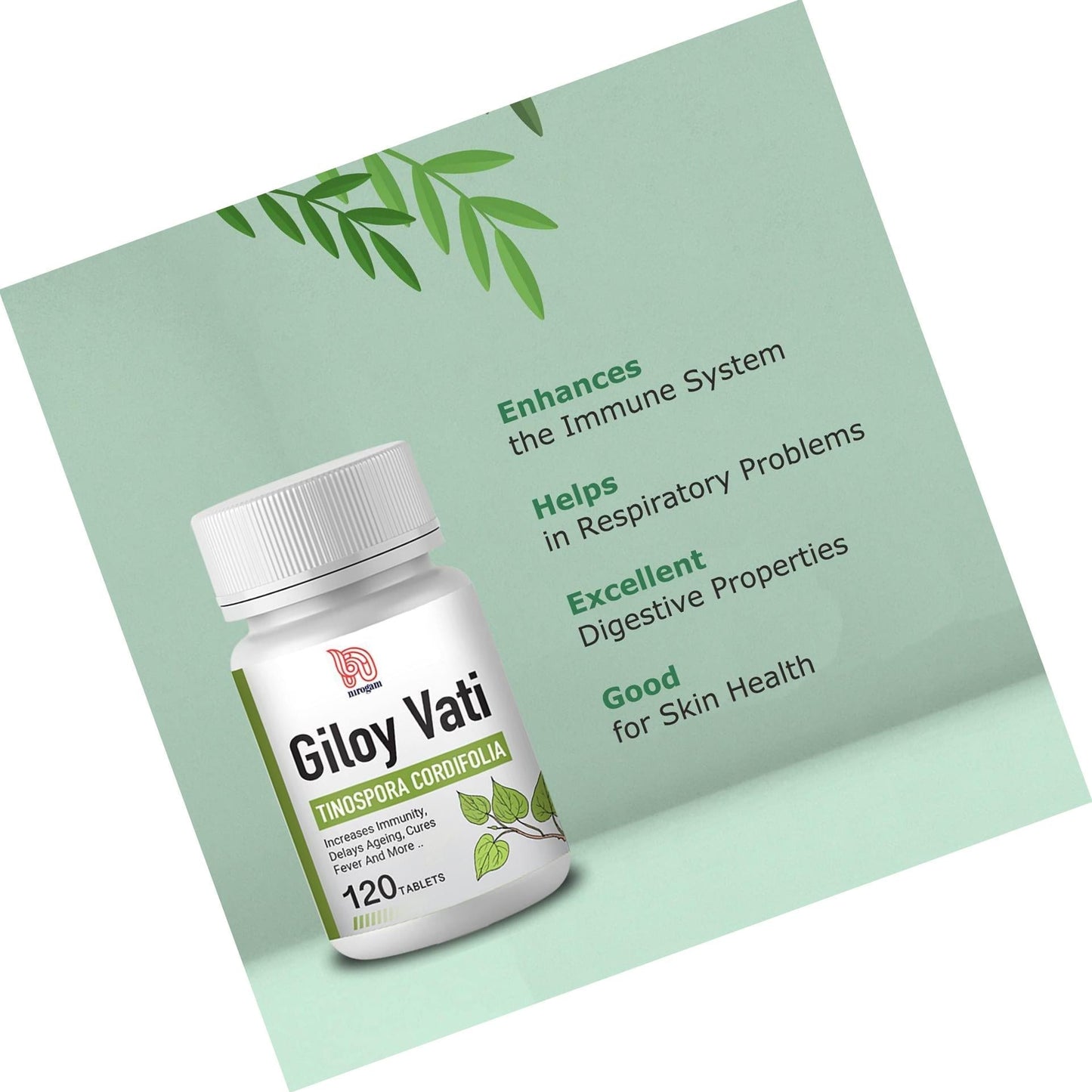 Giloy Vati 120 Tablets a Bottle I Immune Support, Good for Digestion I Pure Essence of Giloy Plant I Safe and Effective