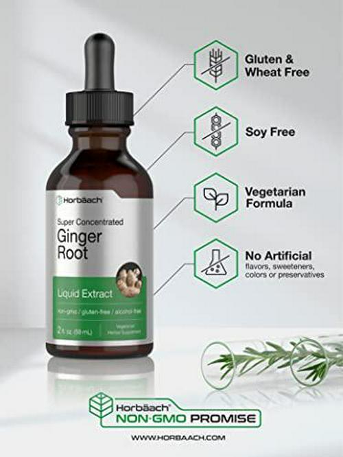 Ginger Root Extract | 2 oz | Alcohol Free Supplement | Super Concentrated | Vegetarian, Non-GMO, Gluten Free Liquid | by Horbaach