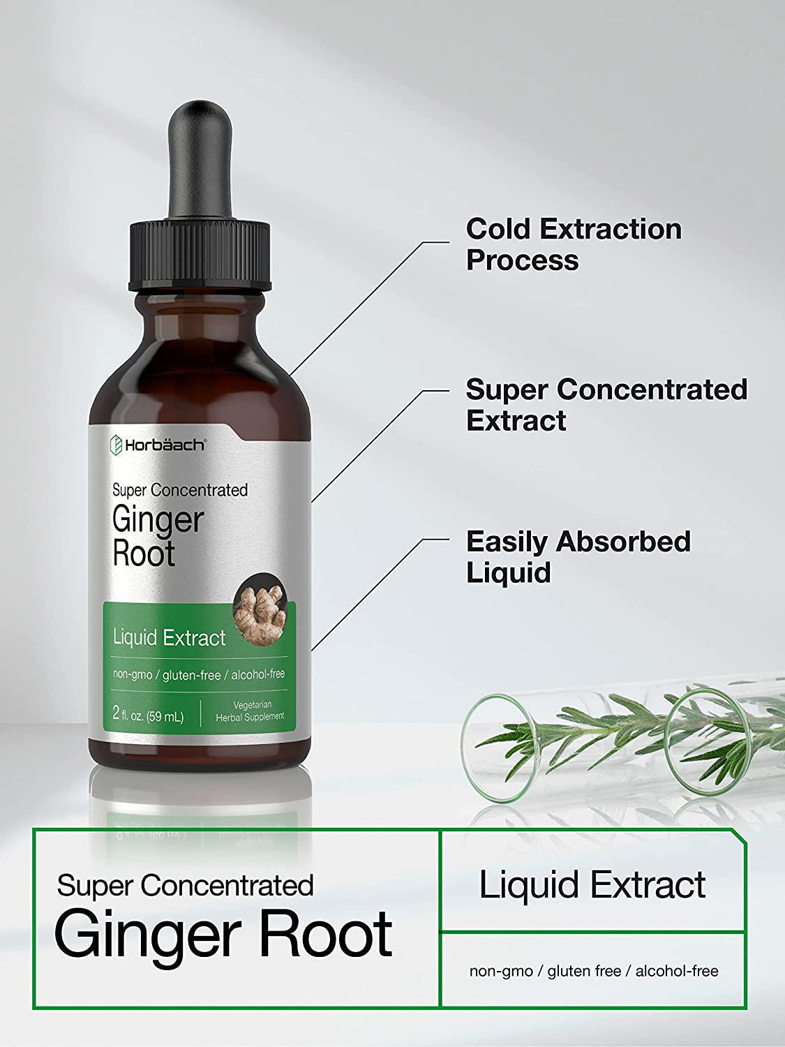 Ginger Root Extract | 2 oz | Alcohol Free Supplement | Super Concentrated | Vegetarian, Non-GMO, Gluten Free Liquid | by Horbaach