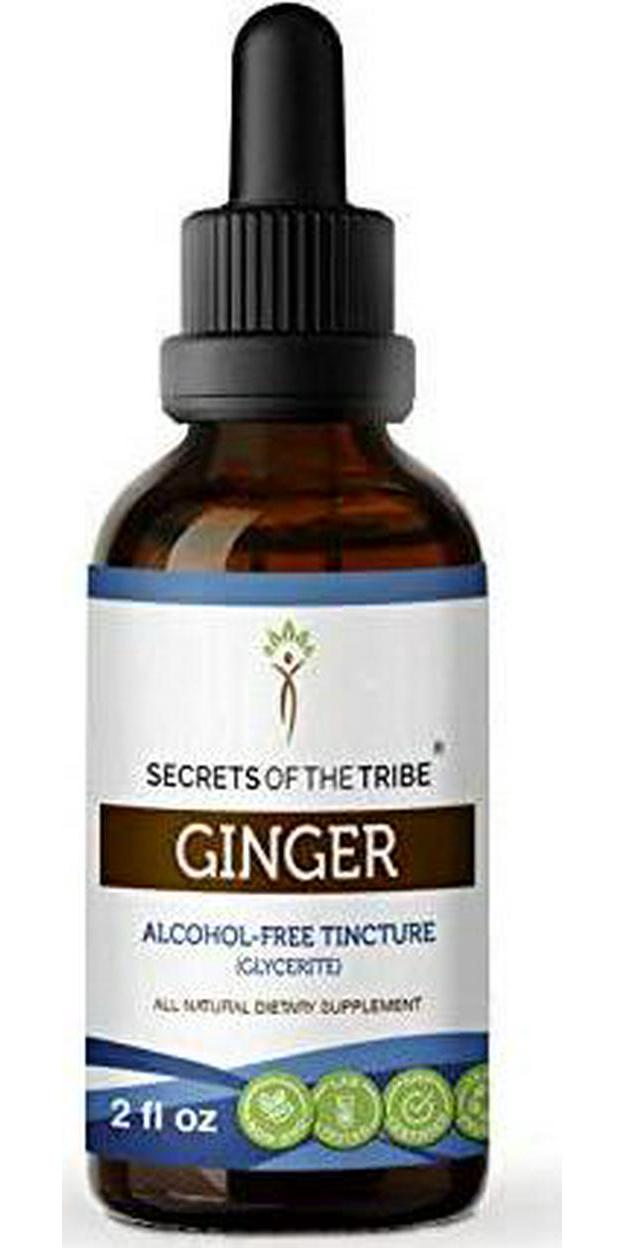 Ginger Tincture Alcohol-Free Extract, Organic Ginger Zingiber officinale Healthy Digestion 2 oz