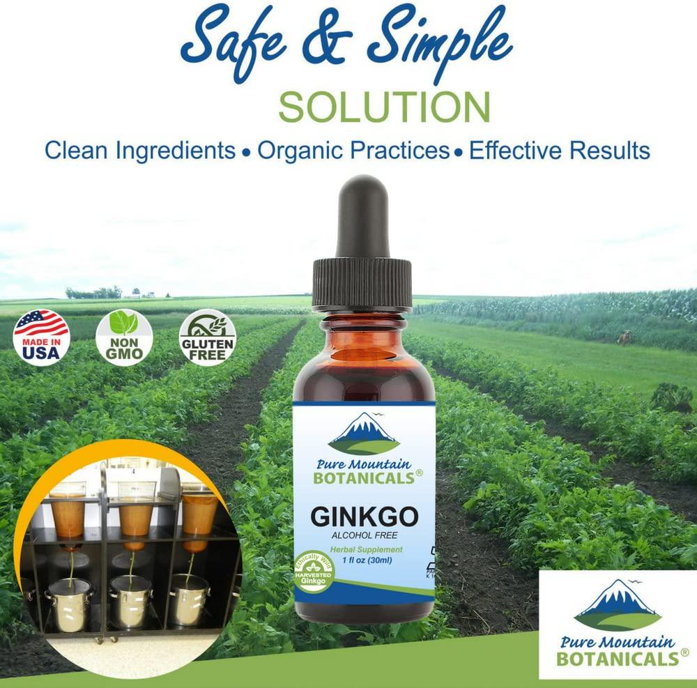 Gingko Biloba Liquid Extract Alcohol Free Tincture of Wild Harvest Ginkgo Biloba Leaf 1 fl oz Supplement