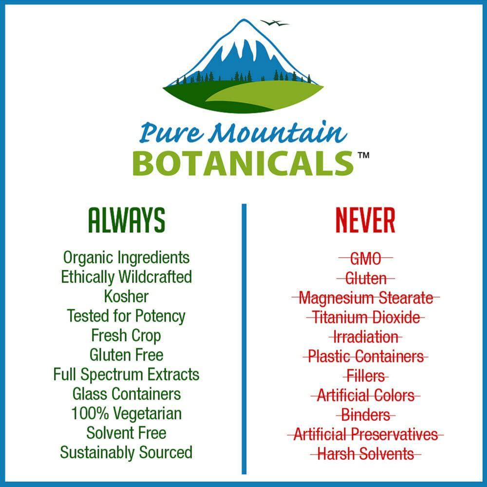 Gingko Biloba Liquid Extract Alcohol Free Tincture of Wild Harvest Ginkgo Biloba Leaf 1 fl oz Supplement