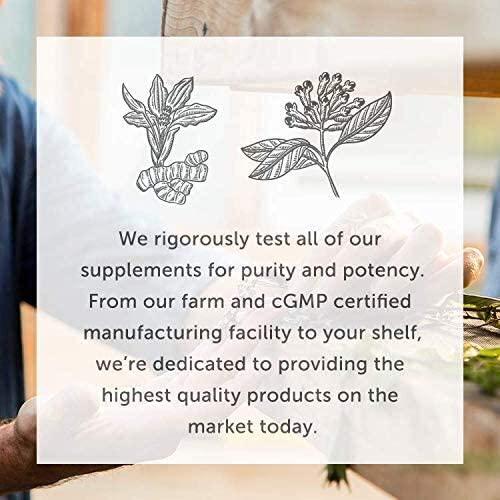 Global Healing Aloe Fuzion Bio-Active Organic Aloe Vera Leaf Supplement - 200x Concentrate Formula with Highest Concentration of Acemannan - Aloin-Free - Gut Health and Immune Support - 60 Capsules