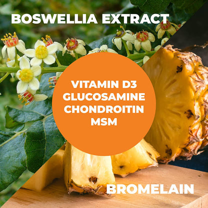 Glucosamine Chondroitin Sulfate and Vitamin D3 with Boswellia, MSM and Bromelain. Joint and Skin Supplement. Promotes Good Hair, Skin and Nail Health. Maintains Strong Bone Flexibility and Mobility